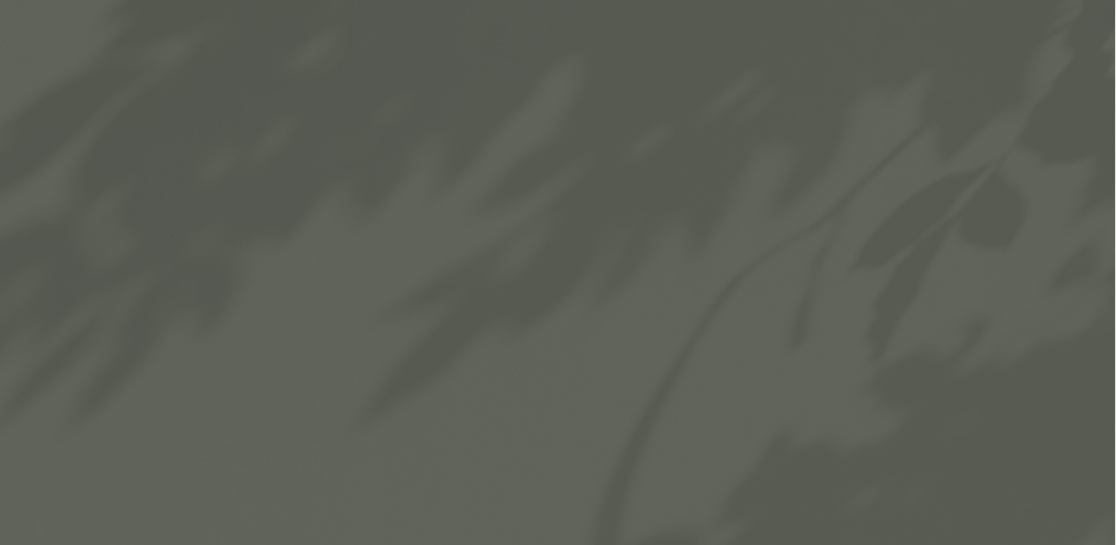 leaf-shadow-bkgd-min