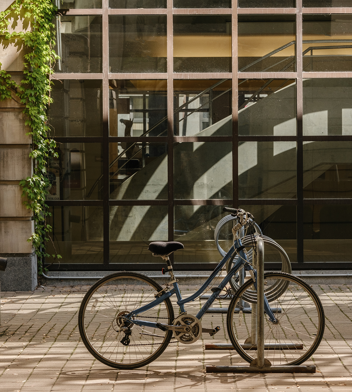 discover-local-living-min